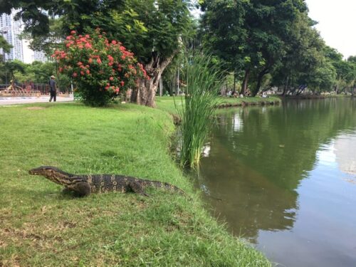 バンコク旅行写真