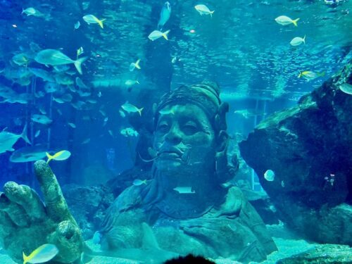 バンコク 水族館