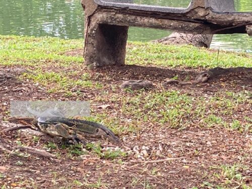 バンコク ルンピニ公園